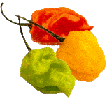 (habanero graphic)